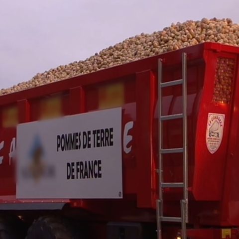 Il tente le record du monde du plus grand cornet de frites